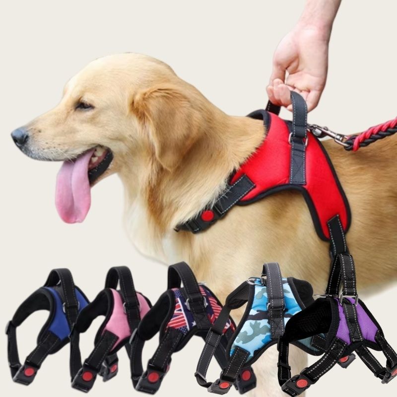 Arnés Tipo Capa para perros